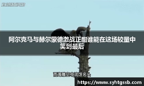 多多28官方网站