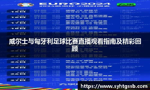 威尔士与匈牙利足球比赛直播观看指南及精彩回顾